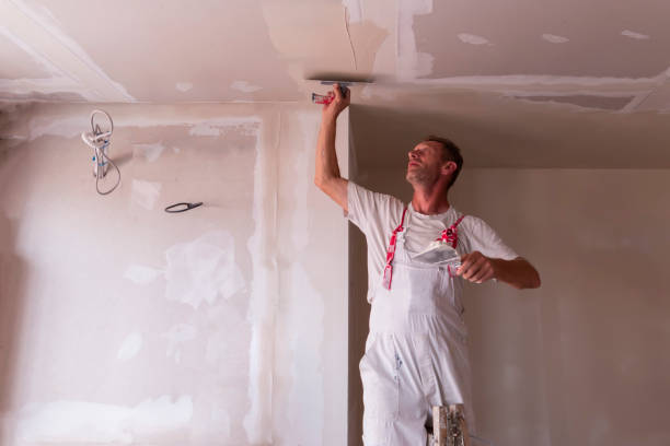 Best Drywall Removal and Disposal  in Cambridge Springs, PA